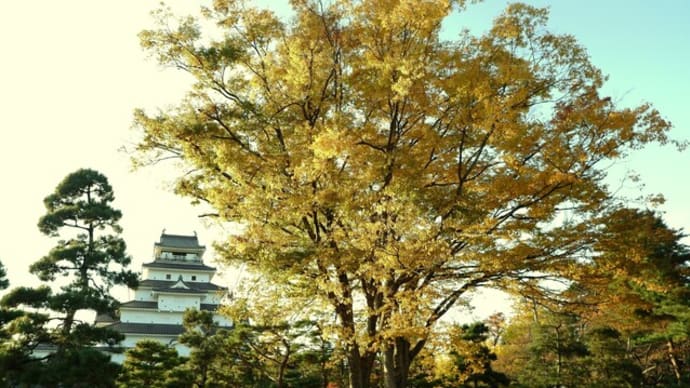 会津若松へ〜上杉家の面影〜