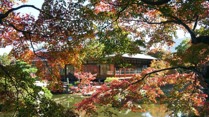紅葉に包まれた回遊式庭園散策・・・山口県下関市長府庭園