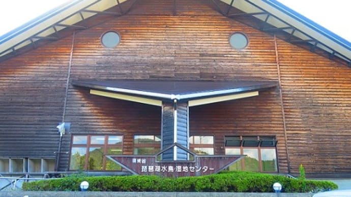 琵琶湖水鳥・湿地センターにて