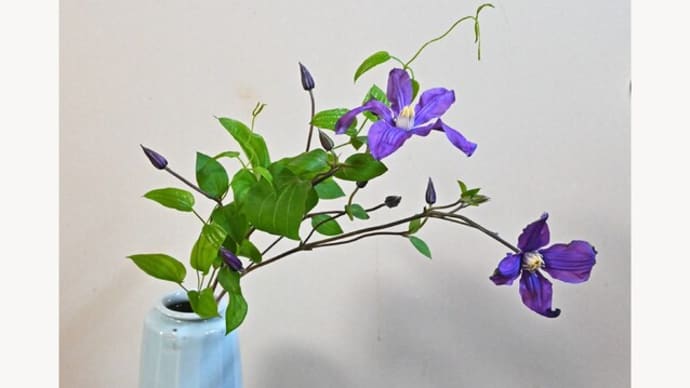 初夏の紫の花を頂く・其一│花信