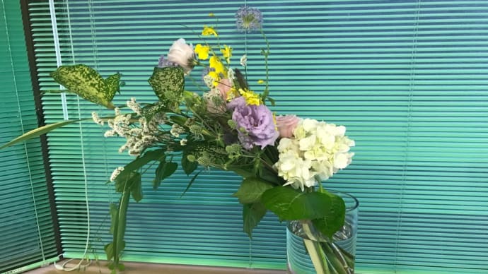 6月後半のお花