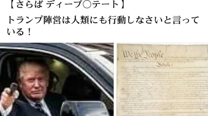 トランプ【最終章】行動【17Q】アメリカ憲法記念日!9月17日〜18日!テレビスクリーンと同時に軍が突破する!リン・ウッド弁護士9月17日【行動】マイケル・トーマス・フリン将軍!さらばDS