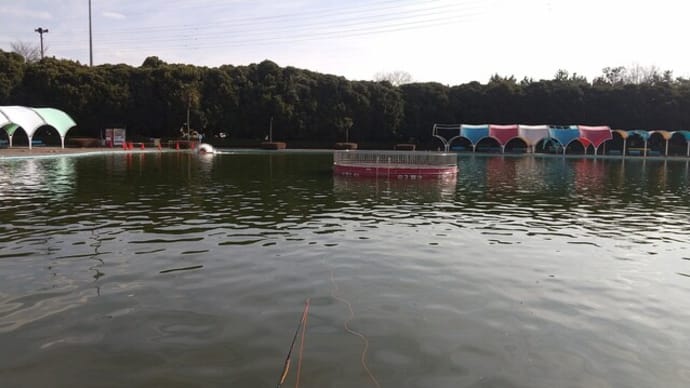 1/25さいたま水上公園釣行