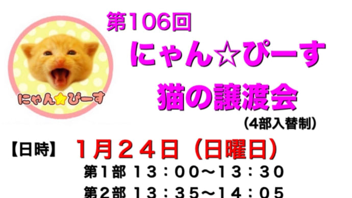 【第106回】にゃん☆ぴーす猫の譲渡会(4部入替制)のお知らせ(八千代市•恵愛動物病院)