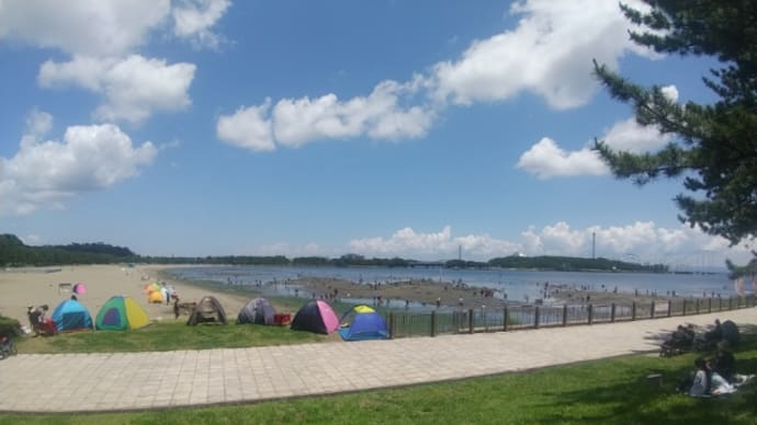 海公