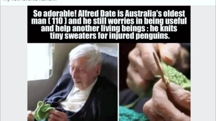 ペンギン用のセーター