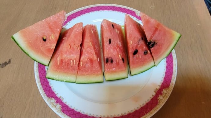 暑かった!💦