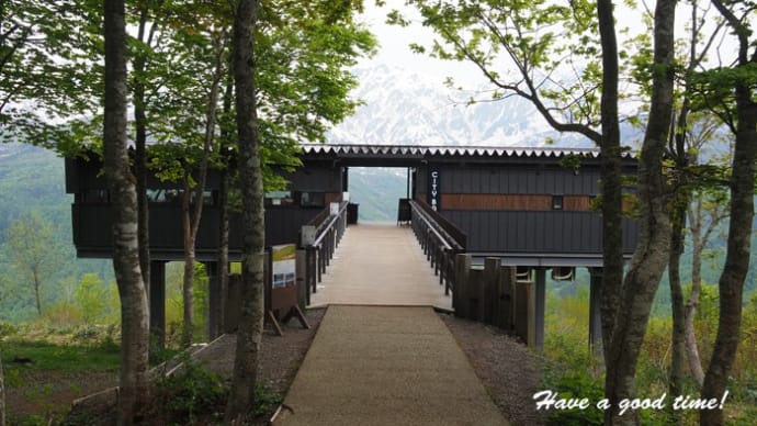 絶景テラス 白馬にて