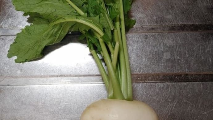 【シンプルで美味しい!】いただき物の「かぶ」を料理(?)