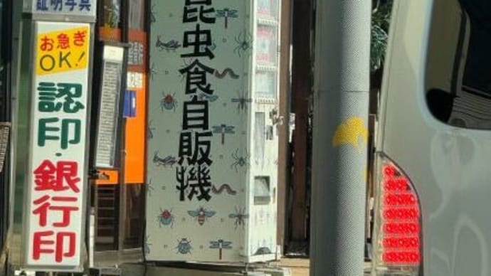 タランチュラかタガメ、さぁ どっち?