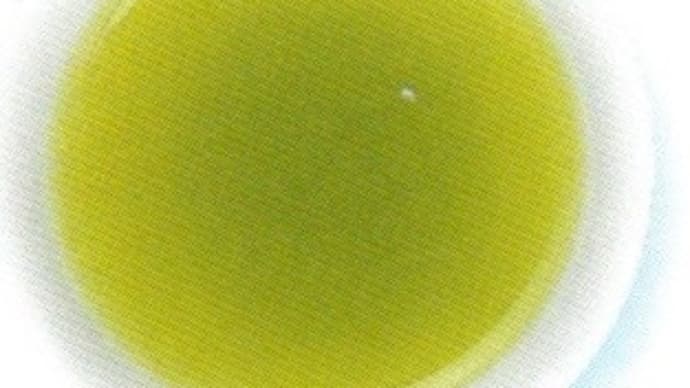 毎日飲んでいても意外と知られていないお茶のこと。 「深蒸し煎茶」