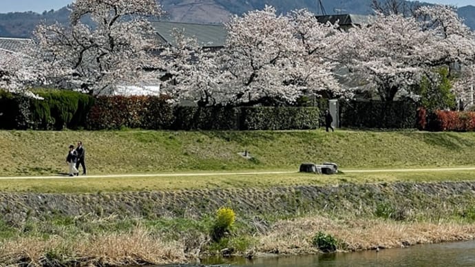ハッシュタグ 大文字 Goo Blog Gooブログ ハッシュタグ 大文字 Goo Blog Gooブログ