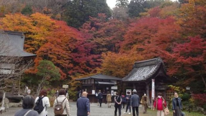 【3つ目は釈迦山 百済寺】お父さんと2人湖東三山⑥2021/11/21