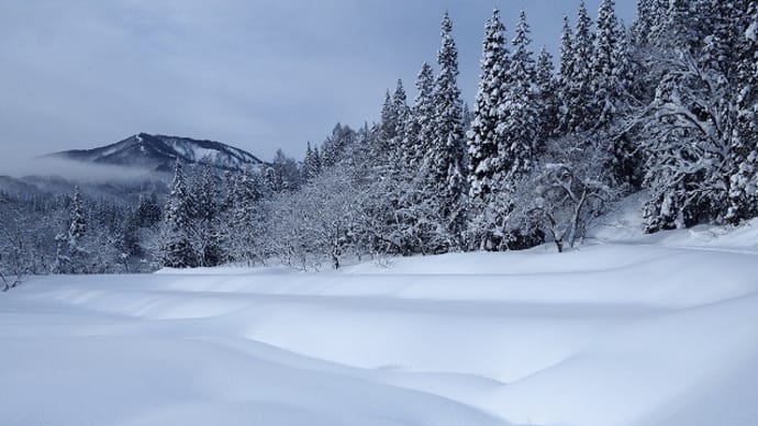 村山葉山 東斜面と雪庇の崩壊 2025.01.19