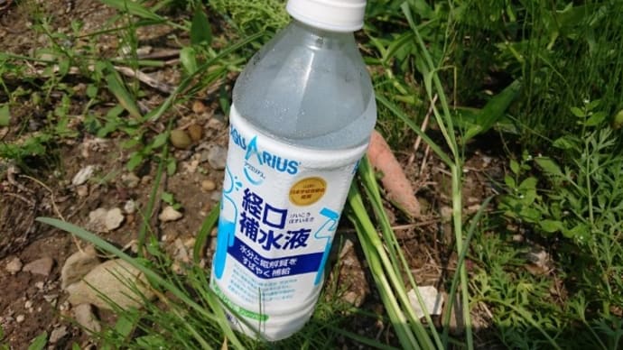 経口補水液、おいしかった・・・