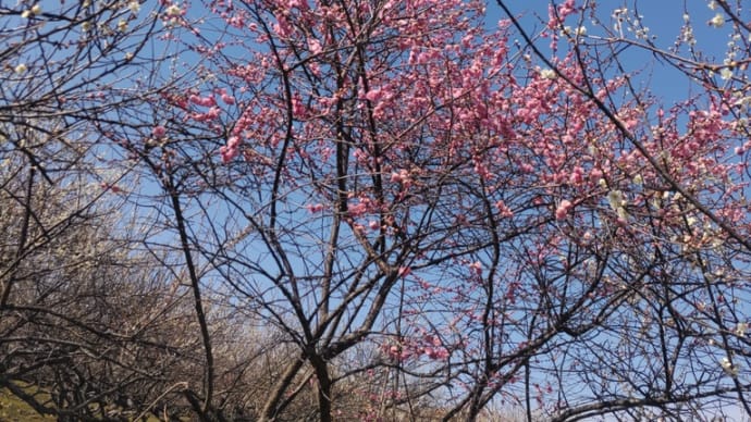 自分のために生きてもよいのです。