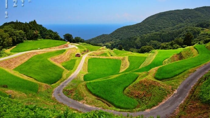 岩首昇竜棚田 その2