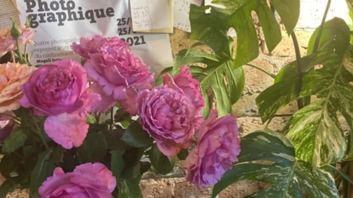 フランス人はおもてなし上手