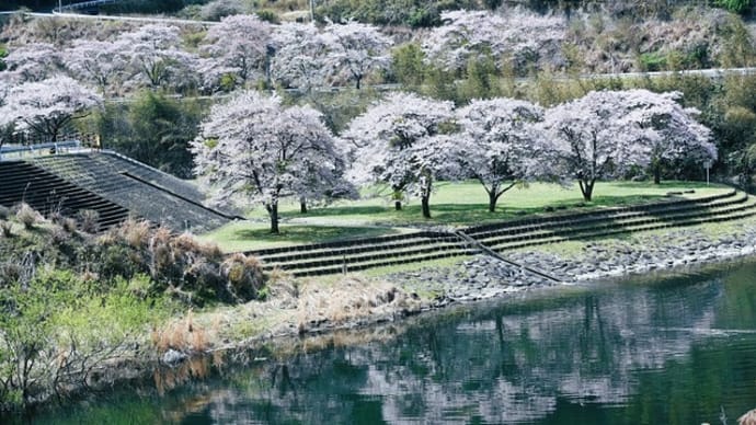名残の桜街道南進 ~名張から御杖村へ