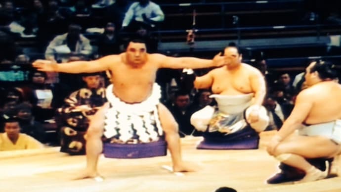 Yokozuna