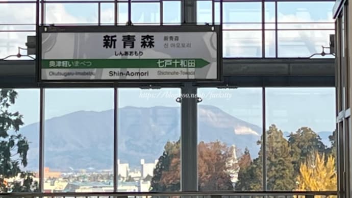 【新青森駅】新青森駅から特急つがるに乗って青森駅で南部せんべい「チョコ南部ソフト」