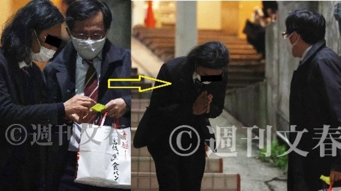 結局、安倍晋三が作ったモデルがたまたま表面化した
