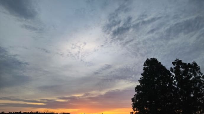 スチューベン葡萄の空