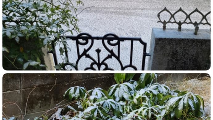 ほんの少し雪が降ってました。