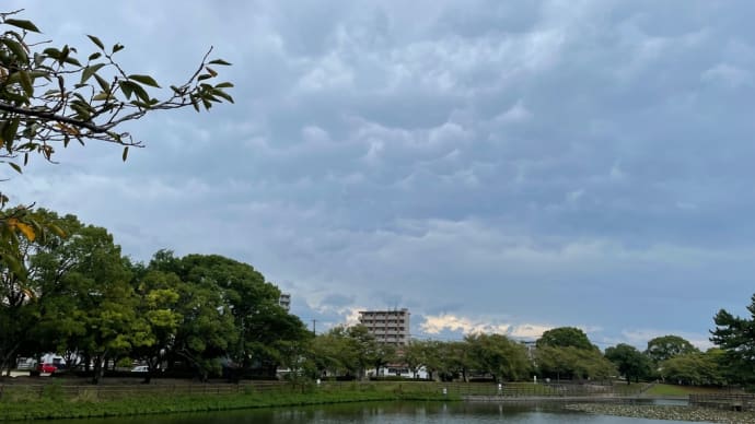 お散歩せずにいられない