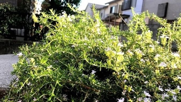 ようこそ! ”どこでも未来ブログ" へ ②