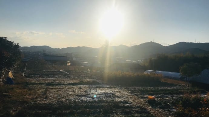 最初にほとばしり出たお酒「浜川 美丈夫 荒ばしり 生酒」@西寅