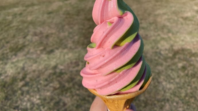 コキア風ソフトクリーム