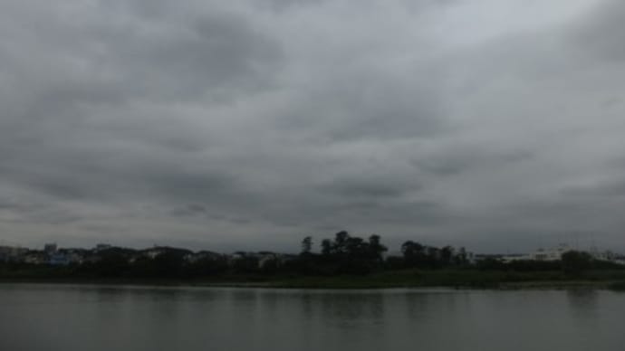 この暑さ、そろそろヤメてくれ…多摩川夏景色シリーズ