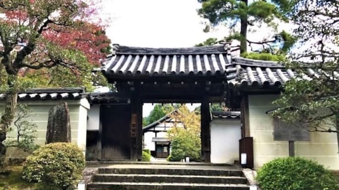 雲龍院は、隅々に心がほぐされるおもてなしがある