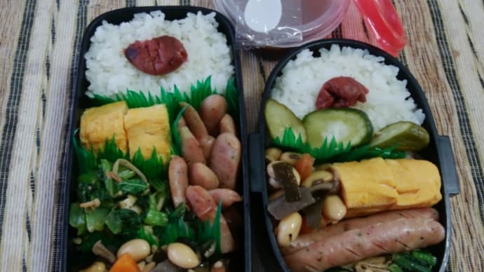 今日の弁当