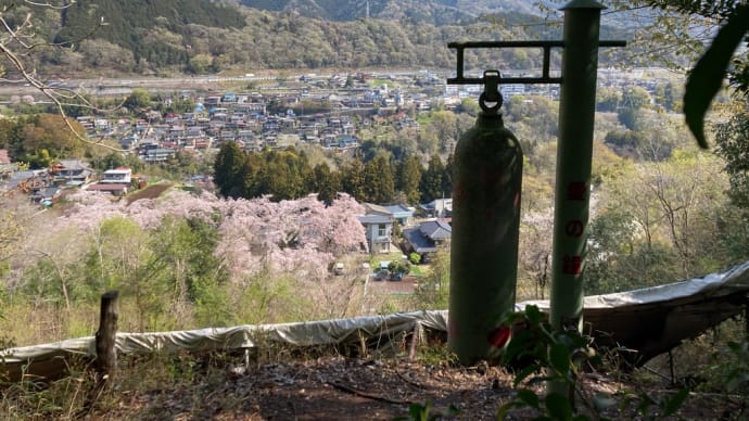 神奈川県藤野15名山京塚山・名倉金剛山