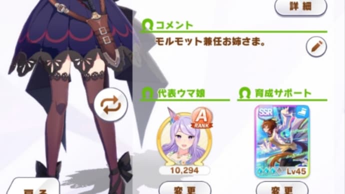 ライスシャワー全冠