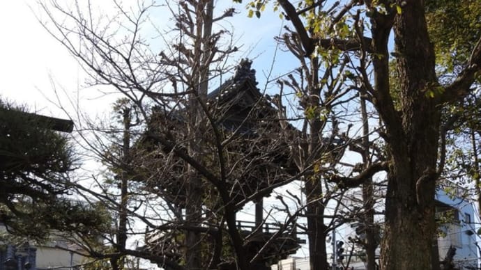 経栄山題経寺(柴又帝釈天) 大鐘楼東面 彫懸魚(ほりげぎょ)