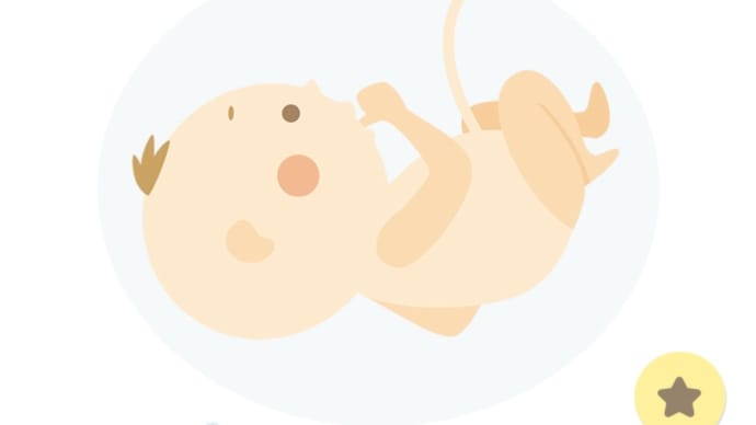 38w2d