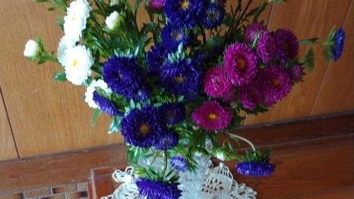 実家の弟嫁ちゃんから、アスターの切り花を貰いました～～！