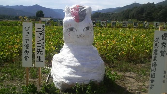 第23回 日本アルプスサラダ街道 かかしまつり