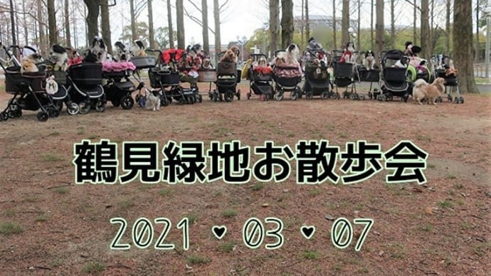18ご家族様♡ありがとうございました♪・鶴見緑地お散歩会