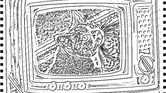 TVショー