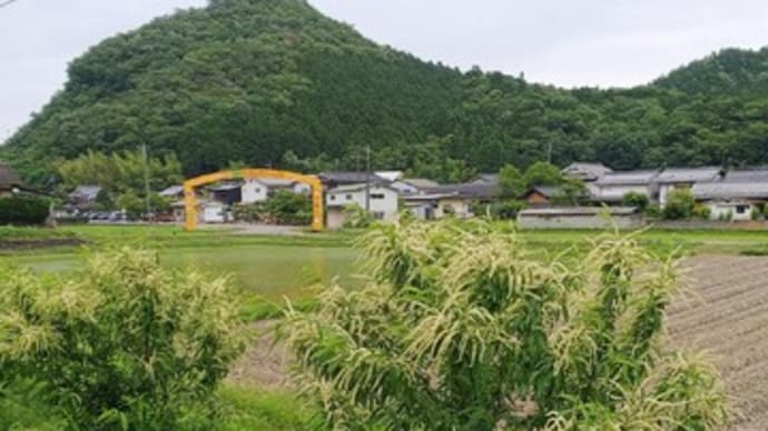 お弁当の重み