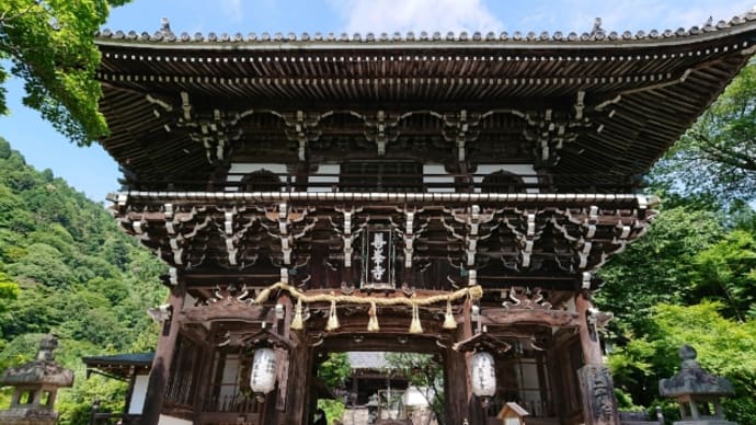 紫陽花満開の善峯寺に参拝@2022年6月24日