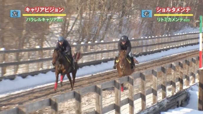 キャリアビジョン、何故か毎回カルマート一族と一緒w