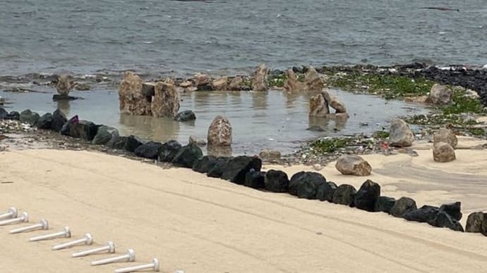 マニラ湾の清掃活動