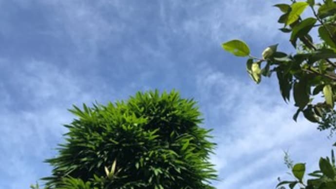 ★なんかやる気が出ないとき 最速（１秒）で自分を取り戻す４つの動作
