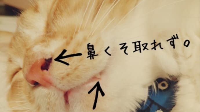 スケジュール押さえるヤツ。