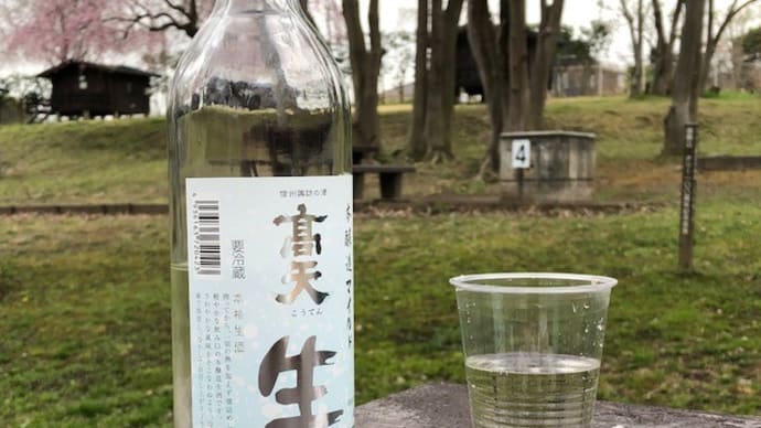 【埼玉の桜-3/21】続・上尾丸山公園は5分咲き? 96歳の姑を連れて~(^^♪